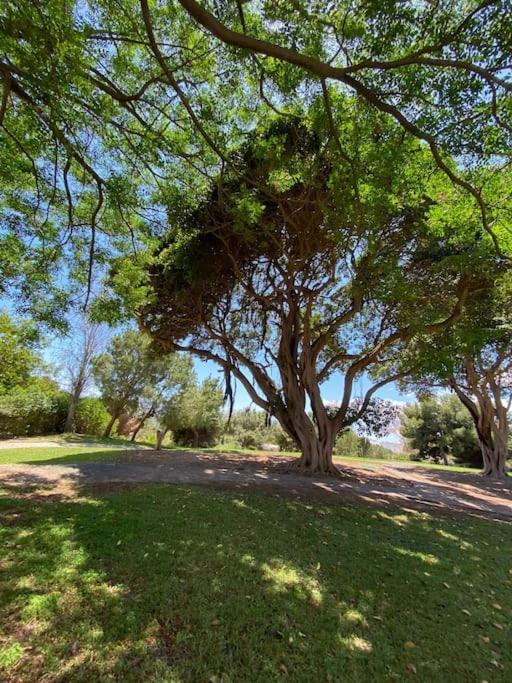 Apt Moderno Con Vistas, Recepcion 24 Hs Y Piscinas Benalmádena Exteriér fotografie